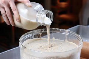 Read more about the article La magie du levain : Guide complet pour réussir votre pain au levain maison